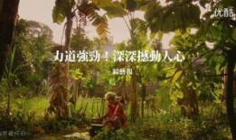 沉默之像在线观看,一场视觉与心灵的深度对话