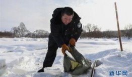 新林海雪原电视剧2017在线观看,重温经典，再现革命英雄传奇
