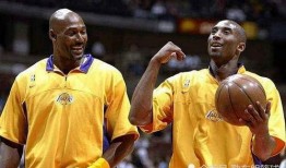 马龙和瓦妮莎最新爆料,揭秘背后的故事与情感纠葛