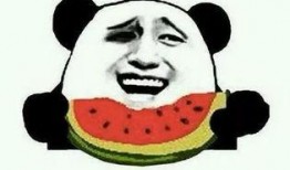 吃瓜爆料手受伤视频,视频揭秘幕后真相