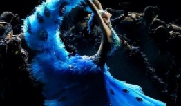 孔雀坐骑新爆料视频大全,视频大全揭秘神秘坐骑风采