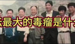 独白爆料王天一的视频,揭秘王天一背后的惊人真相