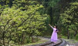 风景哥最新爆料视频大全,揭秘幕后精彩瞬间