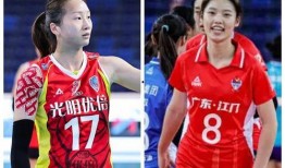 外媒爆料李盈莹视频完整版,外媒揭秘运动女神的幕后故事