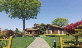 平安五华最新爆料消息查询,揭秘背后惊人真相