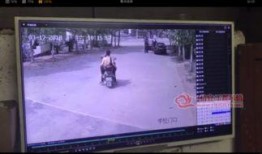 信宜最新爆料新闻事件,某重大事件引发社会关注，真相即将揭晓！