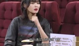 辛芷蕾爆料图文视频,揭秘娱乐圈不为人知的幕后故事