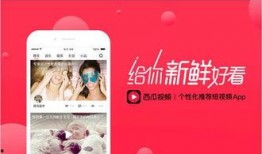 豆花今日最新爆料视频,幕后真相大曝光！