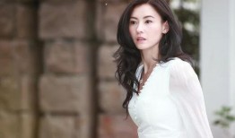 张柏芝最新爆料文案,娱乐圈背后的惊人真相