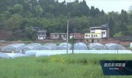 德阳爆料王最新信息,揭秘XX事件背后真相！