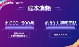 媒体爆料范文素材视频播放,范文素材视频播放背后的故事