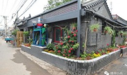 幻影忍者最新杂志爆料2025,未来忍者世界的神秘面纱