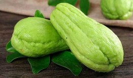 网红吃佛手瓜视频大全,佛手瓜美食盛宴，视频大全带你领略美味瞬间