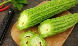 新瓜吃料网站免费下载,免费下载，畅享海量资源