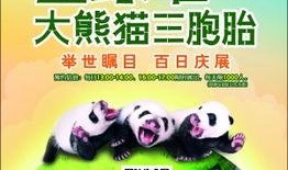 今日娱乐最新爆料栏在哪,明星动向、热点事件一网打尽！”