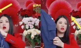 爆料李湘房东视频播放,揭秘豪宅生活细节