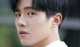 娱乐吃瓜君鲜肉男团,鲜肉男团背后的故事与魅力