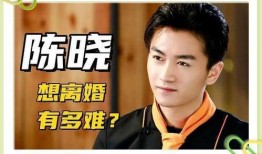 张小寒爆料陈晓视频播放,真相背后引热议