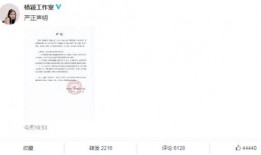 新瓜网红爆料视频在线观看,揭秘幕后真相，带你走进网络红人世界