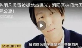 林熙爆料陈羽凡视频播放,林熙曝光陈羽凡视频引发热议