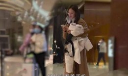 张小寒最新爆料金晨,张小寒最新爆料引热议