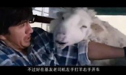 疯羊在线观看免费观看,免费畅享欢乐时光