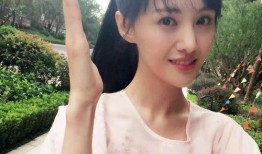 最新爆料郑爽事件始末,从恋情曝光到舆论风暴的全程回顾