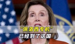 佩洛西最新爆料半小时