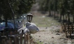 爱是坟墓在线观看,揭秘情感陷阱的惊悚之旅