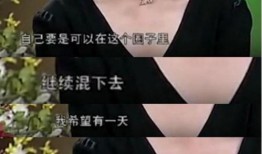 明星爆料圈内有多乱的人,明星爆料，暗流涌动的背后人生