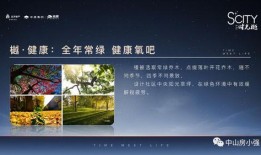 杜楼楼爆料视频最新版,事件真相再引热议