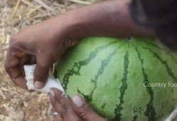 吃瓜粉丝最多的网红,揭秘吃瓜粉丝最多的网红风云录