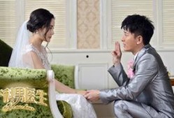 妇产科男医生电视剧在线观看,妇产科男医生的情感救赎之旅