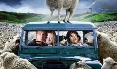 疯羊在线观看免费观看,免费畅享欢乐时光