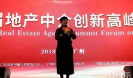 广西世华地产新闻爆料,揭秘项目进展与市场策略