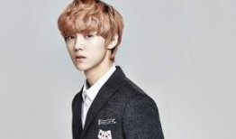 娱乐吃瓜君鲜肉男团,鲜肉男团背后的故事与魅力