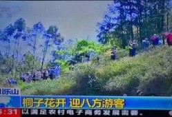 风景哥最新爆料视频大全,揭秘幕后精彩瞬间