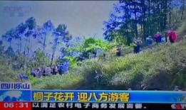 风景哥最新爆料视频大全,揭秘幕后精彩瞬间