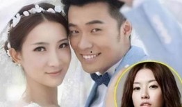 陈赫女友爆料视频播放下载,揭秘背后真相