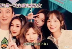 爆料生五胎网红是谁啊视频,网红五胎之谜，她是如何做到的？