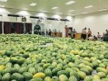 学校新瓜最新爆料江苏,揭秘校园风云背后的真相！”