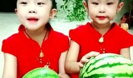 吃瓜小妈全集免费,揭秘娱乐圈背后的真实故事