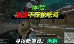 蜜獾突击手新版爆料视频,揭秘神秘技能与战术革新