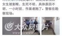 女大学生爆料视频大全,揭秘校园生活背后的真实故事