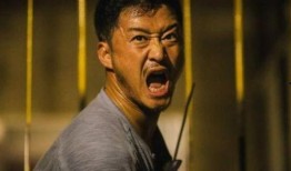 吴京爆料冯小刚视频大全,视频大全曝光惊人内幕