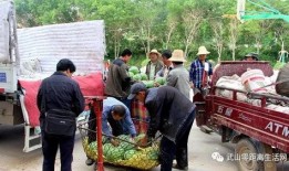 吃瓜群众免费吃瓜村,揭秘吃瓜群众的狂欢盛宴