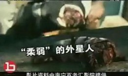 第九区国语在线观看,异域入侵者的避难所，在线观看全解析