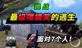 蜜獾突击手新版爆料视频,揭秘神秘技能与战术革新