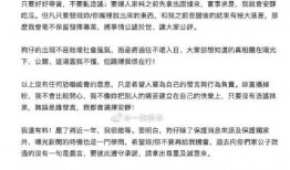 狗仔新闻爆料教程,如何成为幕后推手，掌握舆论风向