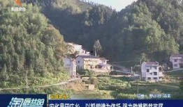 留坝县导游爆料案例视频,一场真实案例引发的行业深思